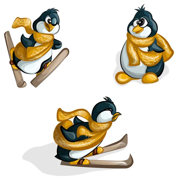 Une Image Vectorielle Ensemble Même Pingouin Dans Différentes Positions Ski Vecteur En Vente