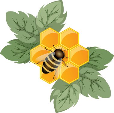 Bal peteğinin vektör görüntüsü bir çiçeğin bal bitkisi olması konseptidir. Ve çiçeğin üzerinde oturan arı