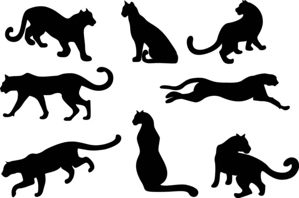 Mage Silhouettes Different Poses Feline Vector Image Eps10 — Stock Vector