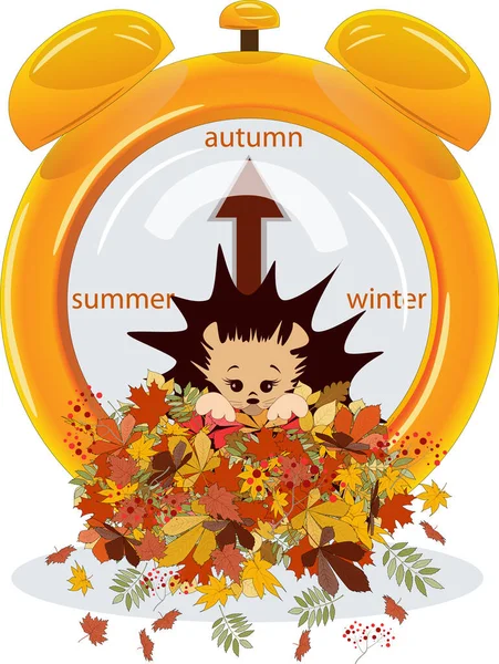 Vektorbild Eines Igels Einem Haufen Herbstlaub Aus Einer Reihe Von — Stockvektor