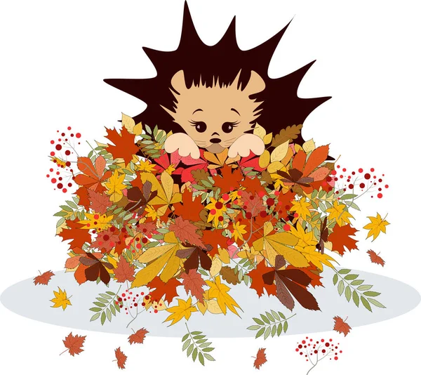 Vector Image Hedgehog Pile Autumn Foliage Series Illustrations Hedgehog — Stock Vector