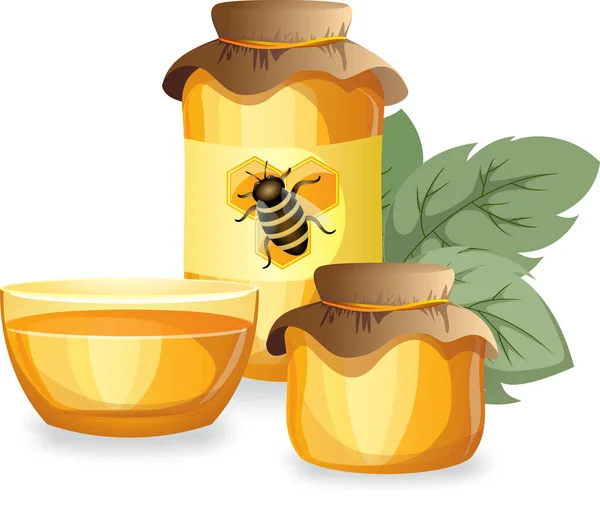 Vektorbild Von Honig Verschiedenen Behältern Appetitlich Frischer Bernsteinhonig — Stockvektor