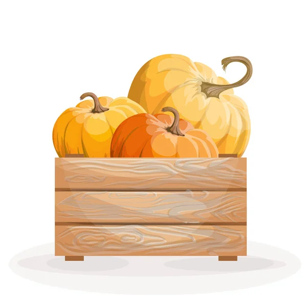 Vector Image Three Pumpkins Box Isolated White Background Concept Vegetable — Stock Vector