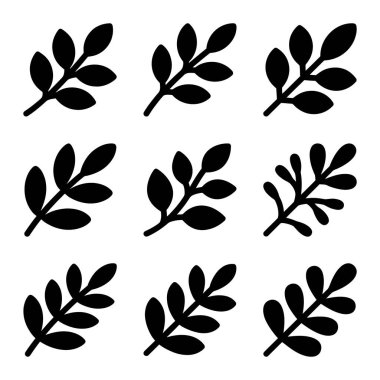 Dokuz basit, grafik bitki dalı siluetinden oluşan bir koleksiyon. Bu vektör simgesi, beyaz arka planda izole edilmiş, temiz, minimalist siyah beyaz bir şekilde çeşitli yaprak düzenlemelerini içerir..