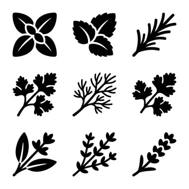 Mutfak bitkileri ve baharatları temsil eden dokuz adet siyah vektör simgesi. Beyaz arka planda bulunan fesleğen, nane, biberiye, maydanoz, dereotu, kişniş, kekik ve lavanta siluetlerini içerir..