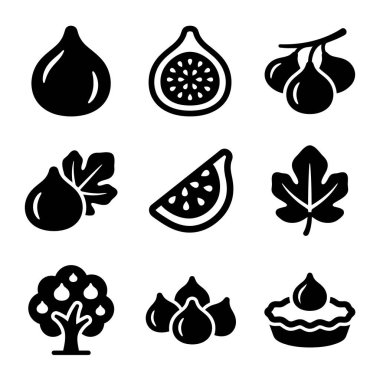 Siyah ve beyaz incir ikonlarından oluşan bir koleksiyon, bir dalda ikiye bölünmüş, bir yaprak, bir dilim incir ağacı ve beyaz bir arka planda izole edilmiş incir turtası..