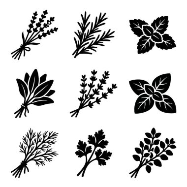 Çeşitli yemek pişirme otlarını gösteren dokuz vektör grafik ikonundan oluşan bir derleme. Lavanta, biberiye, nane, adaçayı, kekik, fesleğen, dereotu, maydanoz ve kekik desenli basit bir siyah silüet tasarımı içerir..