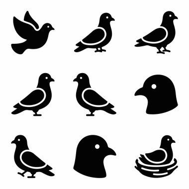 Güvercinleri ve güvercinleri tasvir eden dokuz adet siyah vektör simgesi. Uçmayı, ayakta durmayı, kafa profilini ve yuvadaki bir kuşu içeriyor. Logolar ve semboller için basit katı siluet tasarımı.