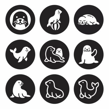Değişik pozlarda sevimli fok balıkları ve deniz aslanlarının yer aldığı dokuz basit siyah beyaz simge koleksiyonu. Logolar ve semboller için minimalist grafik siluet tasarımı.