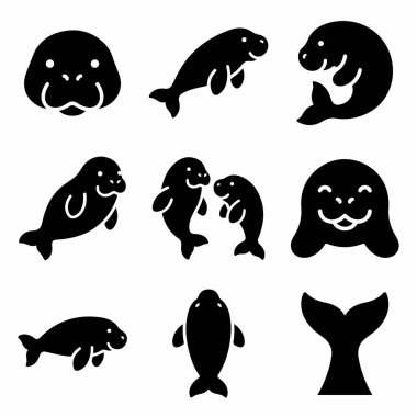 Denizayılarını tasvir eden dokuz basit siyah beyaz simge koleksiyonu. Tam vücut görüntüsü, vesikalık fotoğraflar, bir çift deniz ayısı ve beyaz arka planda izole edilmiş bir kuyruk yüzgeci içerir..