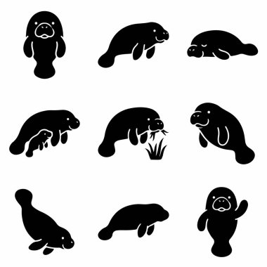 Dokuz tane tapılası denizayısı silueti. Bu koleksiyonda yüzme, yeme ve yavrusu olan bir anne de dahil olmak üzere çeşitli pozlarda narin deniz ineği yer alır. Basit siyah vektör simgeleri.