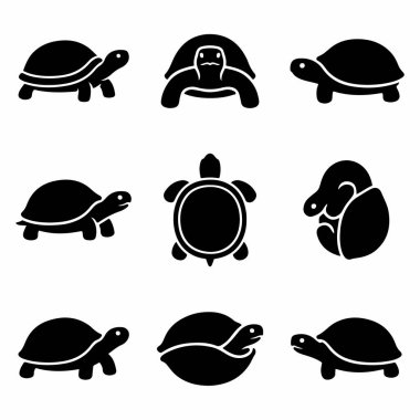 Kaplumbağa ve kaplumbağaları farklı açılardan gösteren dokuz basit siyah grafik simgesi koleksiyonu. Logo ve semboller için yan, üst ve ön görünüm de dahil..