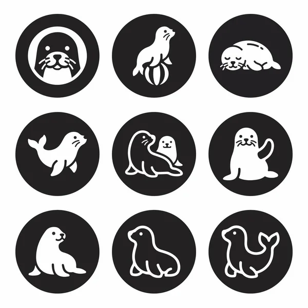 Değişik pozlarda sevimli fok balıkları ve deniz aslanlarının yer aldığı dokuz basit siyah beyaz simge koleksiyonu. Logolar ve semboller için minimalist grafik siluet tasarımı.