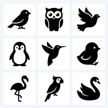 Bir dizi düz dizayn kuş simgesi. Bu koleksiyonda bir baykuş, güvercin, penguen, sinekkuşu, civciv, flamingo, papağan ve kuğu bulunur..