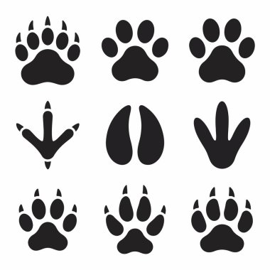Ayıların, kedilerin, köpeklerin, toynakların ve kuşların ayak izlerini içeren çeşitli hayvan ve kuş izlerini gösteren dokuz ayrı vektör simgesi..