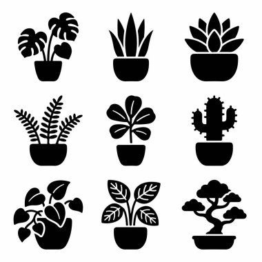 Çeşitli kapalı alan bitkilerini temsil eden dokuz vektör sembol seti. Canavarlar, yılan bitkisi, sulu, eğreltiotu, kaktüs ve bonsai ağacını beyaz arka planda izole edilmiş siyah siluetlerde barındırır..