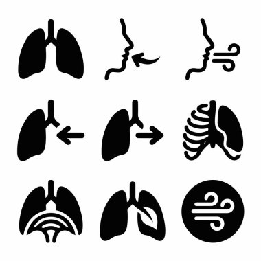 Akciğerler, solunum, solunum, nefes alma, göğüs kafesi ve diyafram hareketi dahil olmak üzere insan solunum sistemini temsil eden dokuz basit siyah vektör simgesinden oluşan bir derleme..