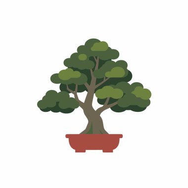 Geleneksel bir Japon bonsai ağacının düz dizayn vektör çizimi. Minyatür ağacın kalın bir gövdesi, yeşil yaprakları vardır ve beyaz arka planda izole edilmiş, basit bir kırmızı tencereye dikilir..