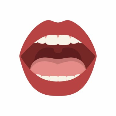 Kırmızı dudaklar, pembe bir dil ve iki sıra temiz beyaz dişleri gösteren bir insan ağzının düz vektör grafiği. Beyaz bir arkaplanda izole edilmiş.