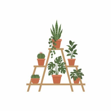 İçinde canavarlar, yılan bitkisi ve kaktüs bulunan kapalı bir bitki koleksiyonu üç katlı bir ahşap çerçeve standına yerleştirildi. Düz vektör çizimi beyaz arkaplanda izole edildi.
