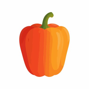 Tek bir tatlı dolma biberin canlı bir vektör çizimi. Biber, temiz beyaz arka planda izole edilmiş yeşil saplı kırmızıdan turuncuya doğru bir renk değişimi gösteriyor..
