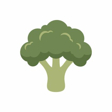 Taze yeşil brokoli sebzesinin stilize edilmiş bir çizimi. Bu basit, düz tasarım grafiği gıda, sağlık ve beslenme kavramları için mükemmeldir..