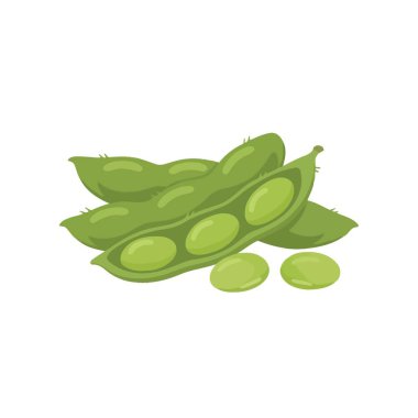 Taze yeşil edamame kapsüllerinin detaylı bir temsili. İçindeki soya fasulyelerini göstermek için açılmış. Temiz beyaz arka planda sağlıklı organik sebze yemeği konsepti.