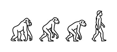 İnsan evrimi kavramını gösteren siyah beyaz bir çizgi. Görüntü, maymun benzeri bir primatla başlayan ve dik bir modern insana doğru ilerleyen dört figürlü bir dizi gösteriyor..