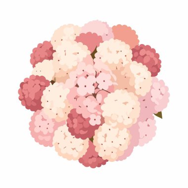 Ortanca pastel buketi pembe krem renkleri olan yumuşak bir çiçek kümesi oluşturur.