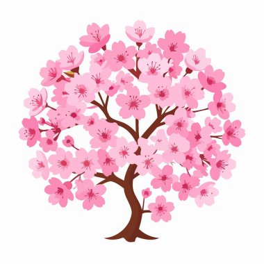 Yumuşak pembe çiçekleri olan kiraz ağacı en az vektör çizimi ile bahar havasını yakalıyor.