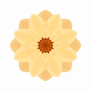 Katmanlı taç yaprakları ve beyaz arka planda koyu kahverengi bir merkezi olan sarı çiçek.