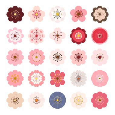 Kiraz çiçeği deseni, arka plan için uygun beyaz arkaplan üzerinde düzenlenmiş pembe çiçekleri gösteriyor.