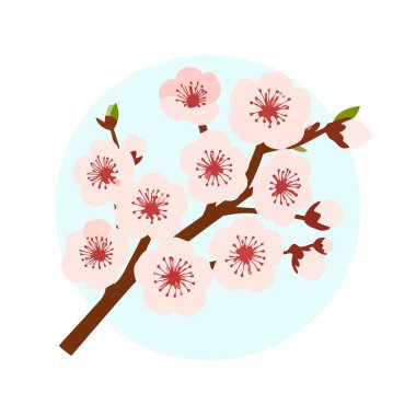 Yumuşak bir pastel daire çiziminde kiraz çiçeği dalı narin taç yaprakları ve sakin doğayı gözler önüne seriyor.