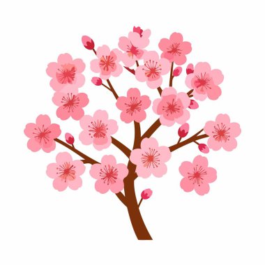 Kahverengi bir gövdedeki pembe çiçekleri beyaz bir arkaplanda gösteren kiraz ağacı çizimi