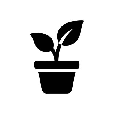 Yeni başlangıçların ve doğal büyümenin basit bir sembolü olarak bir saksının içinde büyüyen bitki tohumu.
