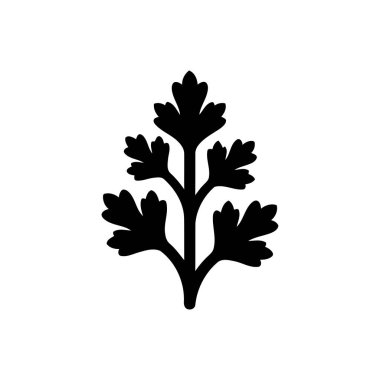 Maydanoz bitkisi yemek ve sağlıklı beslenmek için izole edildi. Bu grafik yaprak unsuru yiyeceklerle ilgili tasarımlar için mükemmeldir.