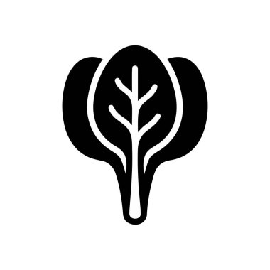 Ispanak yaprağı grafiği beslenme ve diyet temaları için taze ve sağlıklı organik sebzeleri temsil eder.