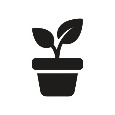 Doğa dekorasyonu ve tasarım varlıkları için saksı tohumu yerleştirin