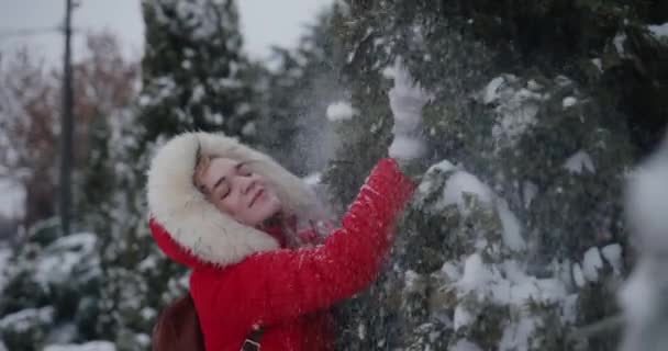 Mutlu kadın ağaçtan kendine kar yağdırıyor. — Stok video