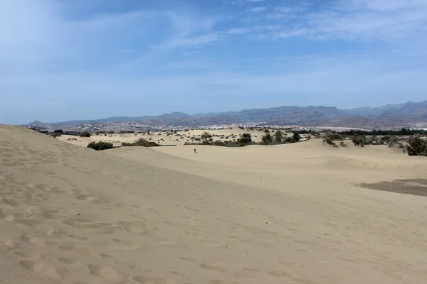 在加那利群岛的沙丘 — 图库照片