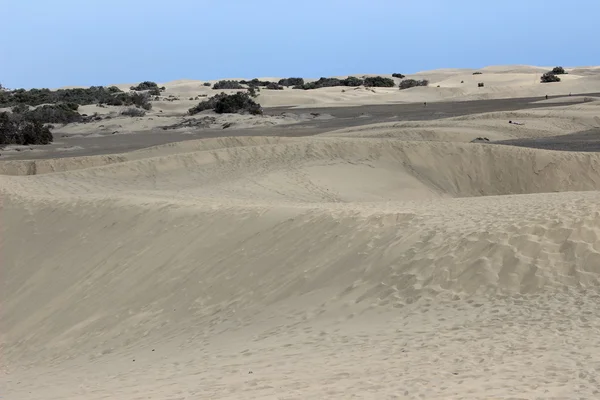 Dunas en las Islas Canarias —  Fotos de Stock