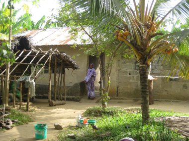 Zanzibar hayat