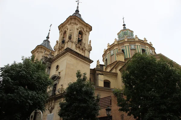 Cattedrale di Granada — Foto Stock