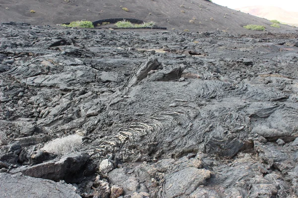 Geharde lava in Lanzarote, Canarische eilanden — Stockfoto