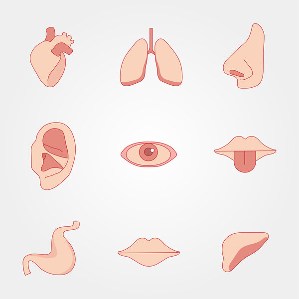 Bodies are different in flat style on gray background