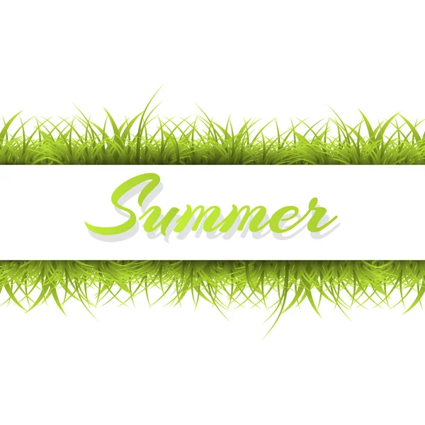 Fondo de verano con hierba una ilustración vectorial — Vector de stock