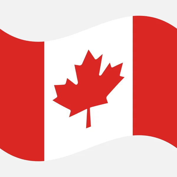 Bandera de fondo de Canadá sobre fondo gris — Archivo Imágenes Vectoriales