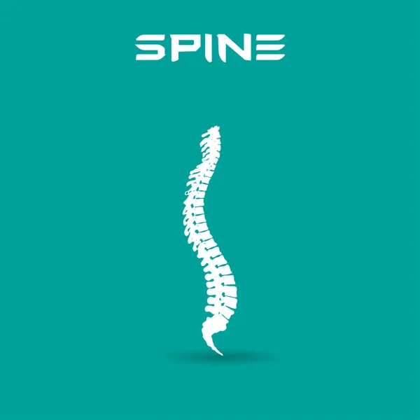 Spine símbolo diseño vector ilustración — Vector de stock