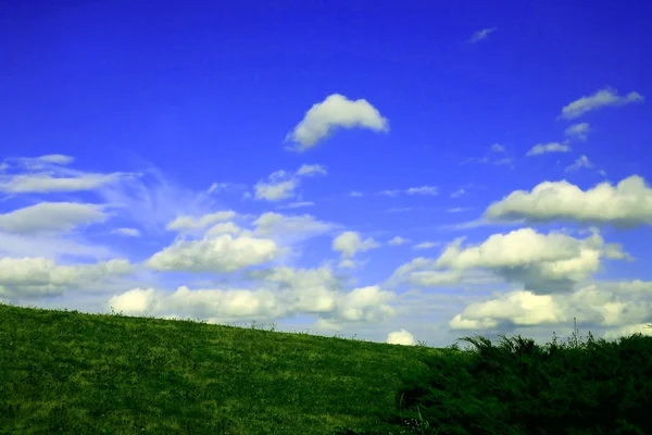 Yeşil çayır mavi gökyüzü bulutlu — Stok fotoğraf