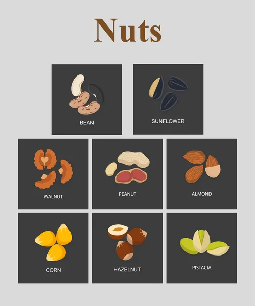 Set a variety of nuts in flat style — Stock Vector